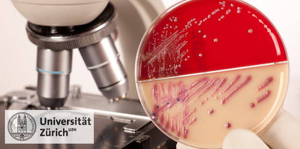 Bakterienkiller, der die Ohren verschont