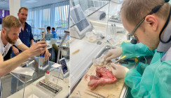 Neues Kurskonzept: 3D-Schalentechnik & allogene Transplantate