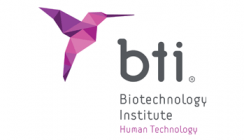 BTI Deutschland GmbH