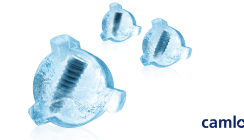 Zeichen für Kontinuität: Camlog Implantatpreise bleiben eingefroren