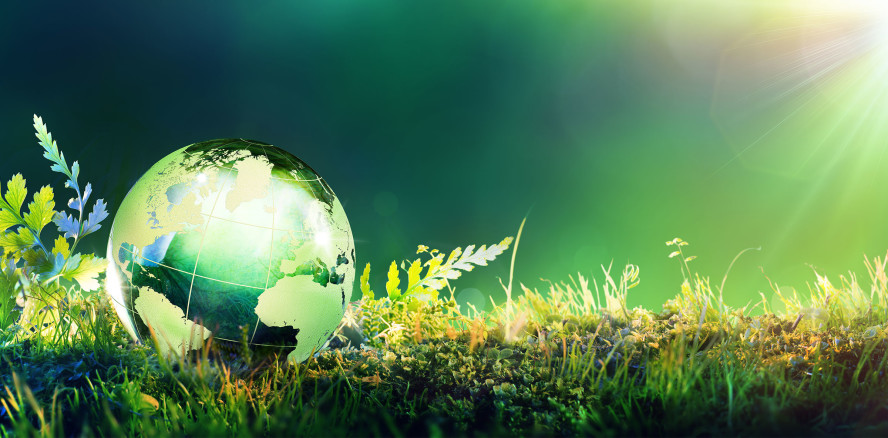 Nachhaltigkeit in der Zahnarztpraxis – Patienten & Mitarbeiter binden