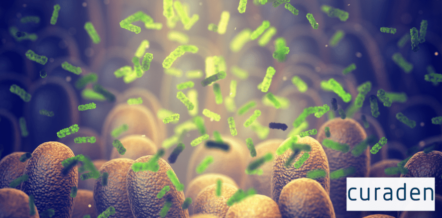 Wie beeinflussen Bakterien unsere Gesundheit und – umgekehrt?