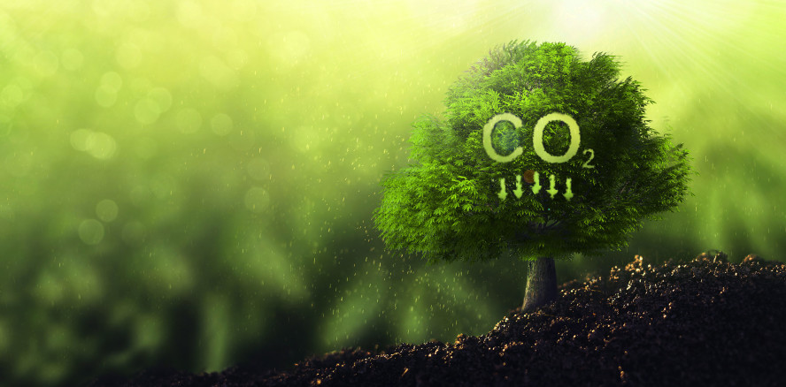 DESS Dental schließt sich dem Zero CO₂-Projekt Barberá del Vallés an