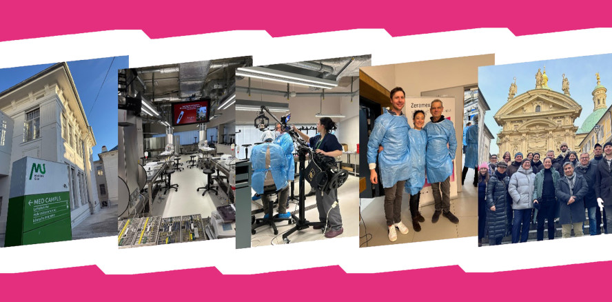 Anatomiekurs für implantologisch tätige Zahnärztinnen und Zahnärzte