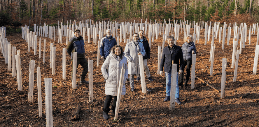 Dentaurum pflanzt 500 junge Bäume für den Klimaschutz