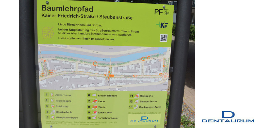 Dentaurum unterstützt Entstehung eines Baumlehrpfades