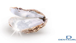 Faszinierende Natürlichkeit in Bracketform: discovery® pearl