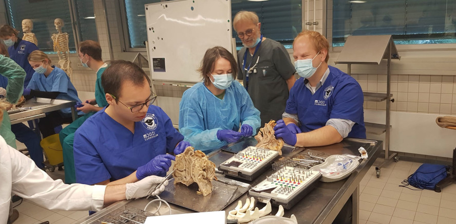 DGZI Curriculum Implantologie 2.0 – Anatomiekurs am Humanpräparat