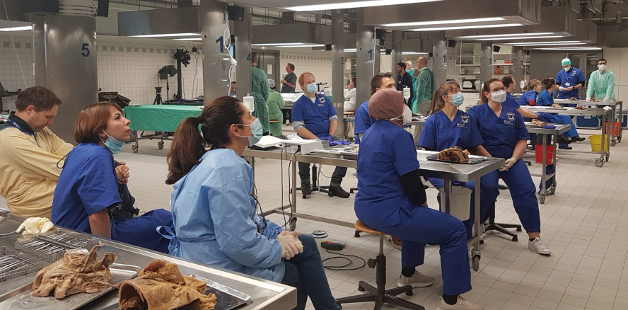 Update zur Chirurgie und Implantologie im Praxisalltag