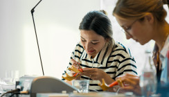 Mit den ITI Education-Formaten von den Besten lernen