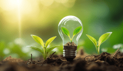 „Oral Health Professional Educators’ ‘Practice Green©’ Awards” 2024