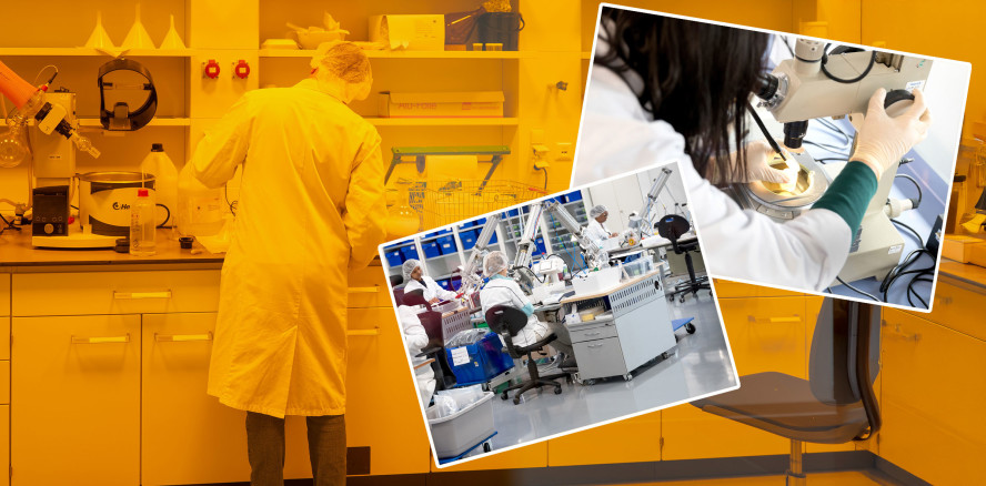 Kneten, rühren, forschen: Manis Erfolgsrezept für starke Dentalprodukte