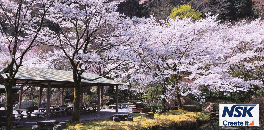 Mit der Natur respektvoll umgehen: 100 Prozent green