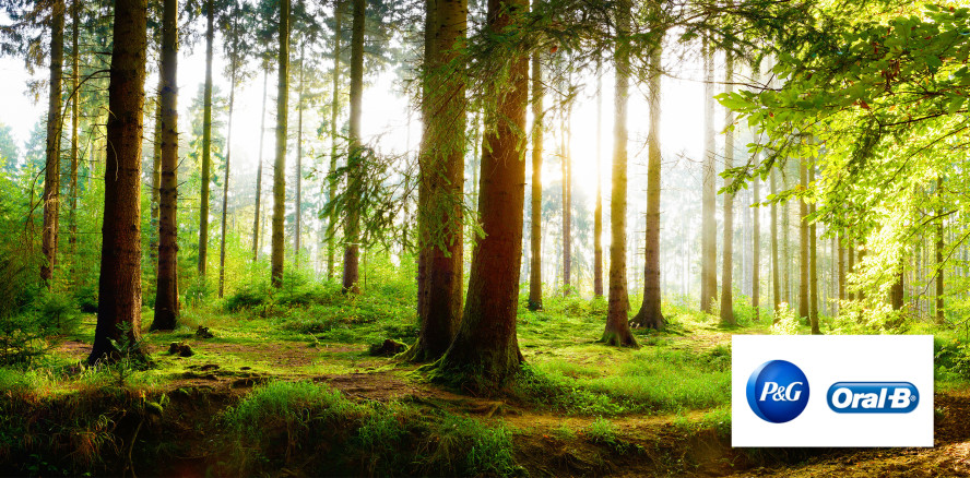 P&G setzt sich auch in Sachsen für natürliche Klimaschutzlösungen ein