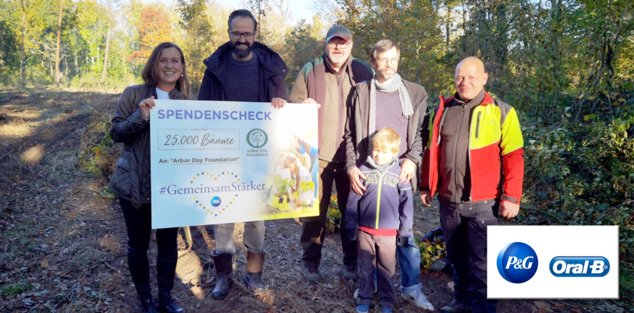 Procter & Gamble startet Pflanzung von 25.000 Bäumen