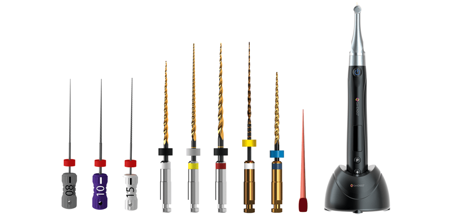 Endo leicht gemacht: Mit wenigen Schritten zum Erfolg – GenENDO startet im September