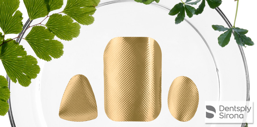 Titanmembran sorgt für geschützte Wundheilung