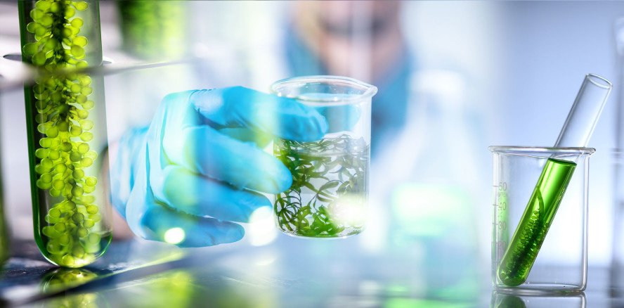 Sulzer unterstützt Shell bei Produktion von Biokraftstoffen