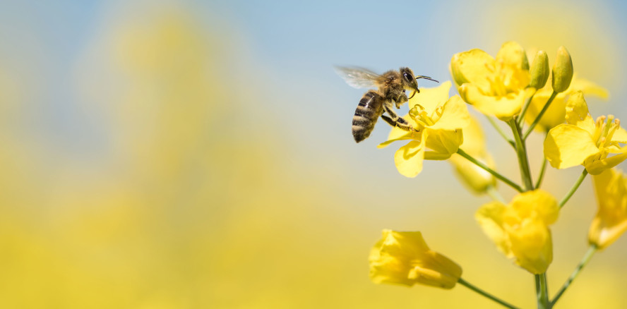 Sulzer ermöglicht Her­stellung von klimaneutralem Treibstoff