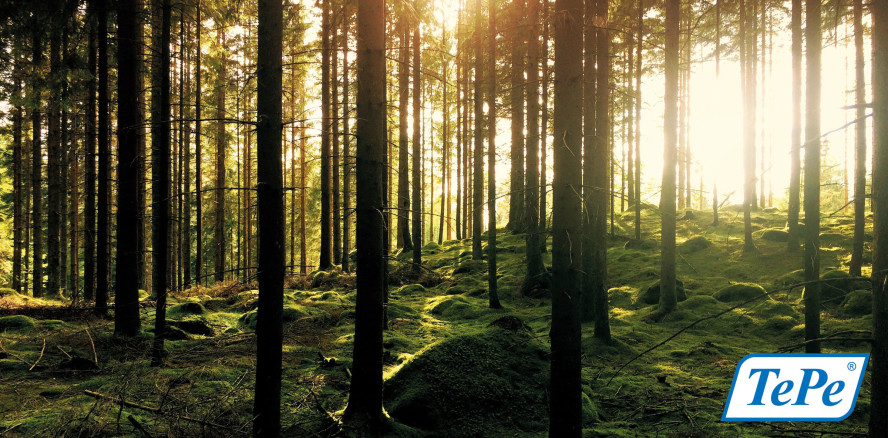 Mit Verantwortungsbewusstsein für gesunde Zähne ein Leben lang