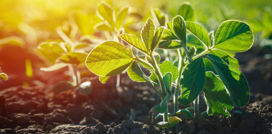 Viel mehr als grüne Produktlinien: TePe lebt Nachhaltigkeit