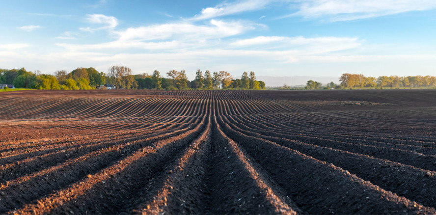 Christian Kurz (W&H) über „Acker&shy;furchen“ in der Oralchirurgie