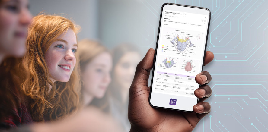 WIZDOM: Die Brücke zwischen Studium und Zukunft der Zahnmedizin