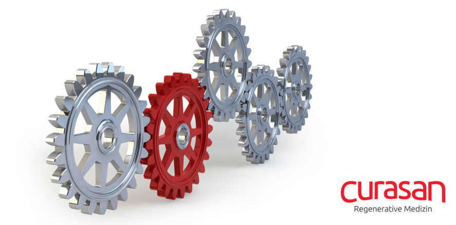 curasan schließt neue Kooperation für die DACH-Region mit Implantcast