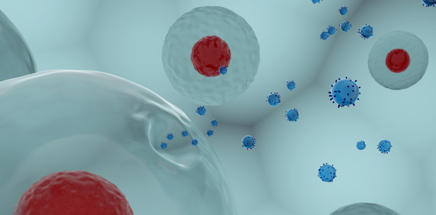 Xlife Sciences und curasan gründen Joint-Venture-Gesellschaft