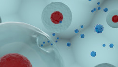 Xlife Sciences und curasan gründen Joint-Venture-Gesellschaft