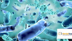 Probiotika – Wie Bakterien die Mundgesundheit stärken
