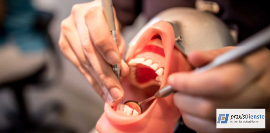 praxisDienste Online Academy erfolgreich gestartet