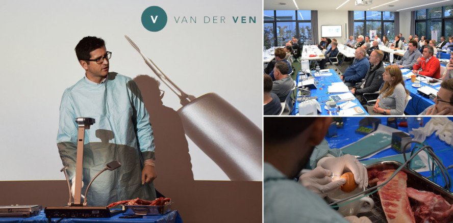 Workshop erläutert Innovationen der Hartgewebsaugmentation