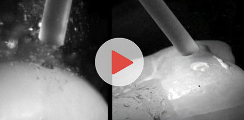 Von Scannern bis same-day dentistry – 3Shape präsentiert neue Lösungen