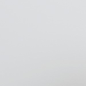 authorImage