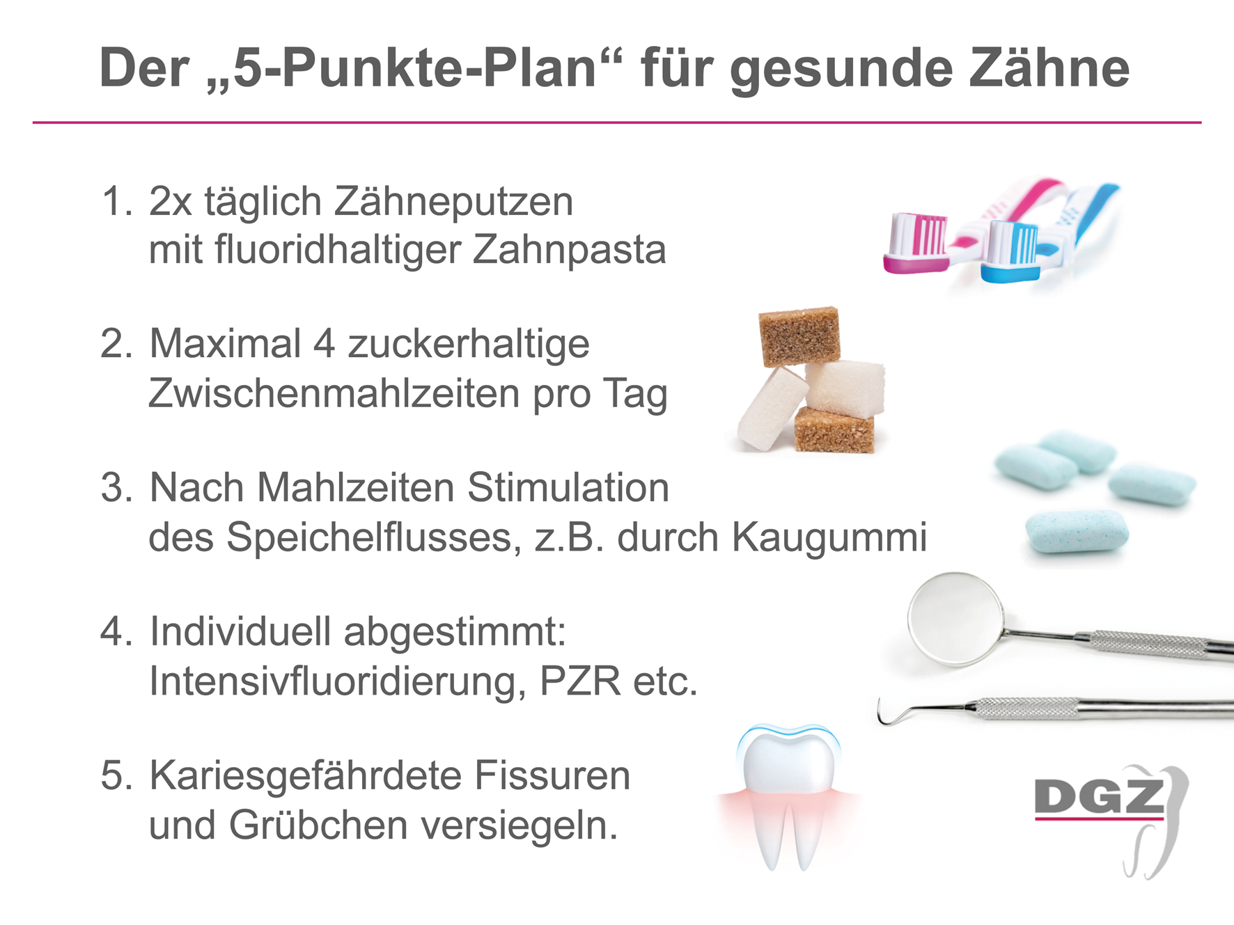 5-Punkte-Plan
