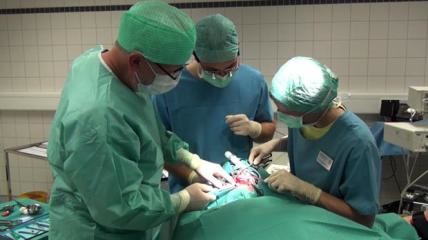 Ausschnitt aus der DVD – Implantate und Sinus maxillaris