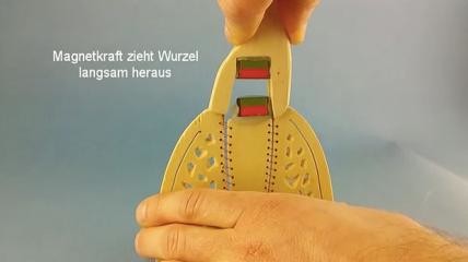StecoTitanmagnetics – Extrusion von Wurzelfragmenten