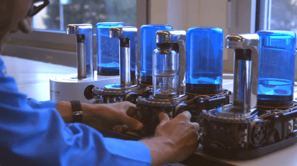EMS – Marktführer in der Prophylaxe mit der AIRFLOW® Methode