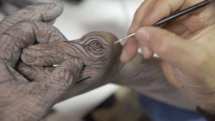 Die Natur als Vorbild – Making of der Kampagne zu naturesQue