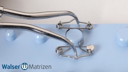 „Best of 2021“ O-Form Matrizen von Dr. Walser Dental