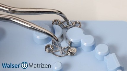 „Best of 2021“ X-Form Matrizen von Dr. Walser Dental