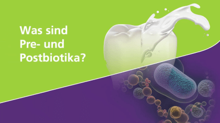 Was sind Pre- und Postbiotika?